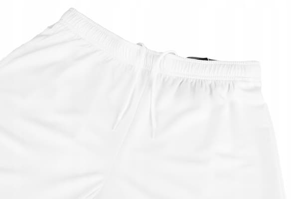 Puma teamRISE herreshorts - sportstræning (størrelse S)