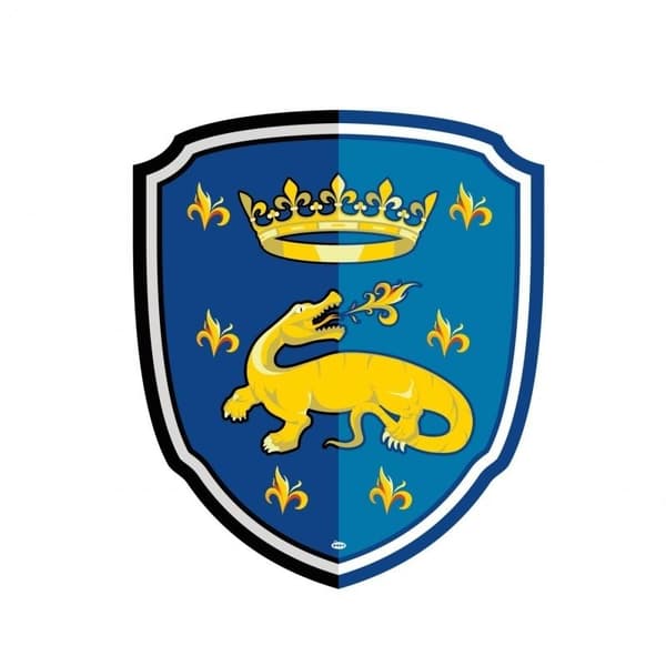 Ridderskjold med salamander