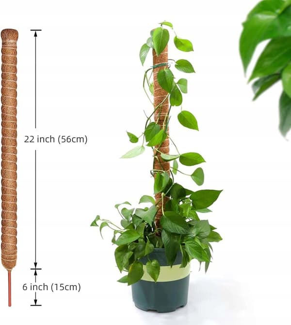 Flexibelt kokosstöd för klätterväxter 71 cm 2 st + rep
