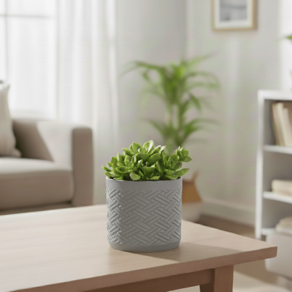 Grått blomkrukutkast, modern skandinavisk Japandi-fläta