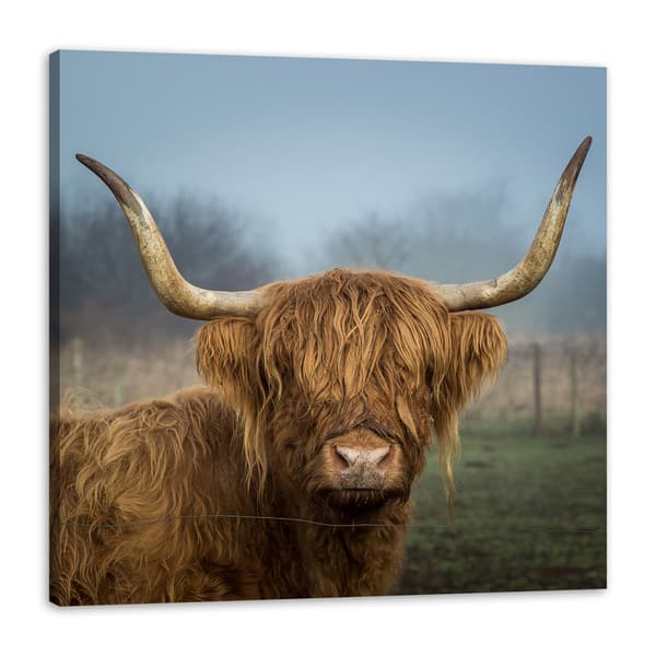 Canvastavla Djur Ko 90x90 cm