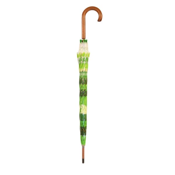 Gennemsigtige paraply forårsblade