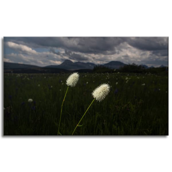 Lærredstryk Natur Vilde Blomster 100x60 cm