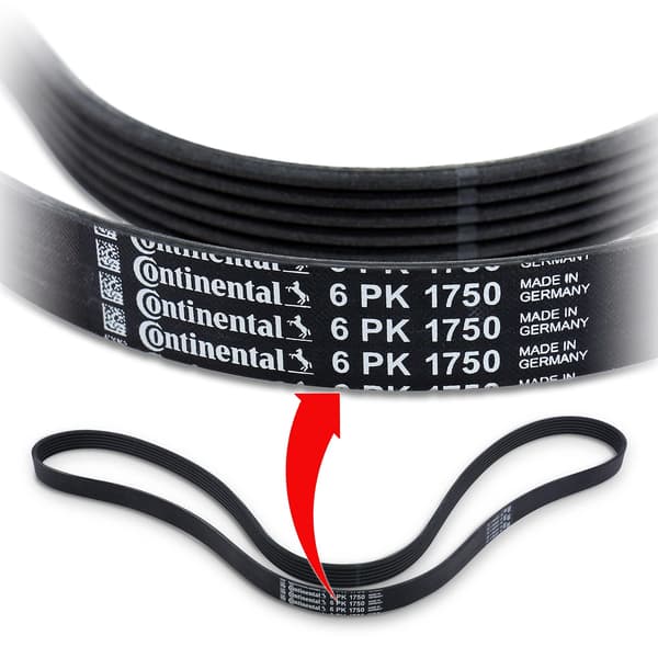 CONTITECH 6 PK 1750 multiribbet rem