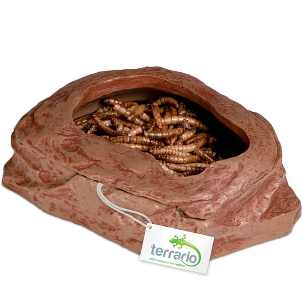 Terrario SplitRock Smart Bowl - skål til fodring af levende foder 11x9x4 cm