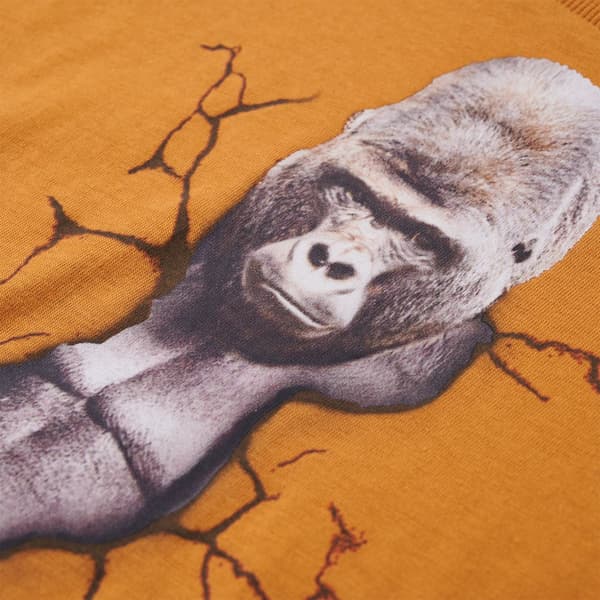 Barn långärmad T-shirt, mörk ockra, 116