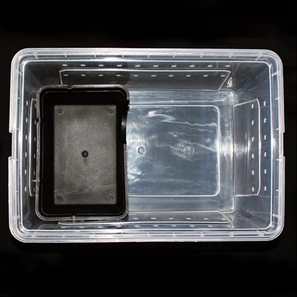 Terrario CubeCave - grottskål för vatten och mat 17x12x7cm