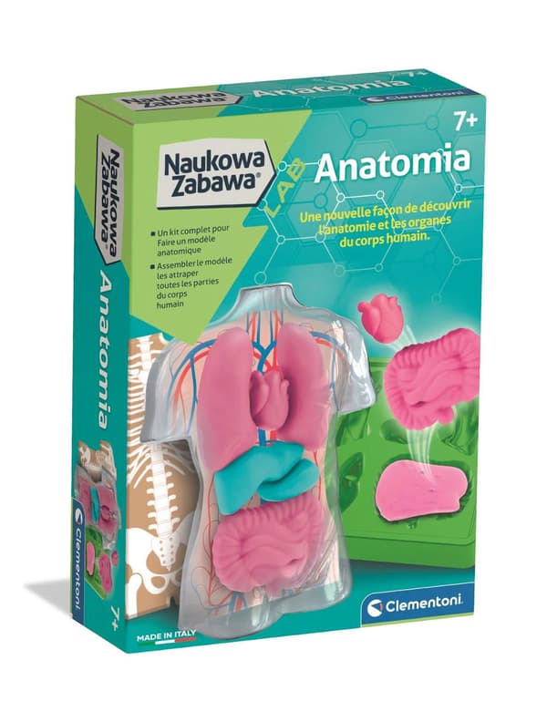 Vetenskapskul. Anatomi 1