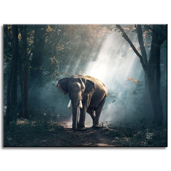 Canvastavla Djur Elefant 40x30 cm