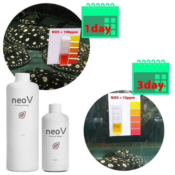 Neo V 1000ml - bakterier + pH-stabilisering + vitaminer til fisk