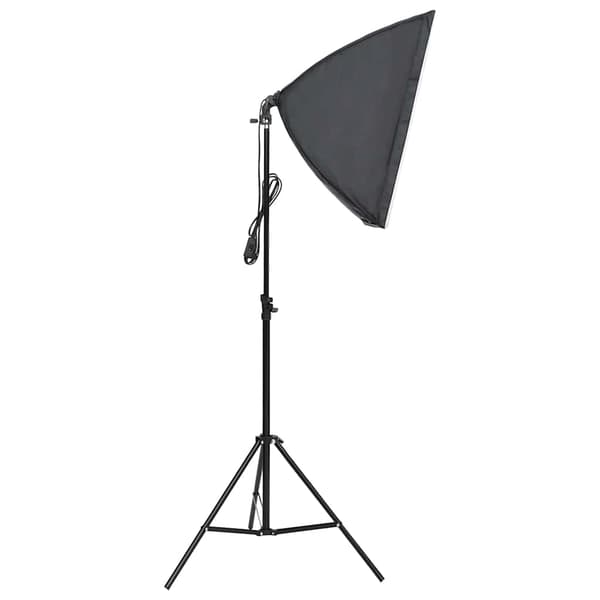 vidaXL Professionella studiolampor, 2 st, 40x60 cm