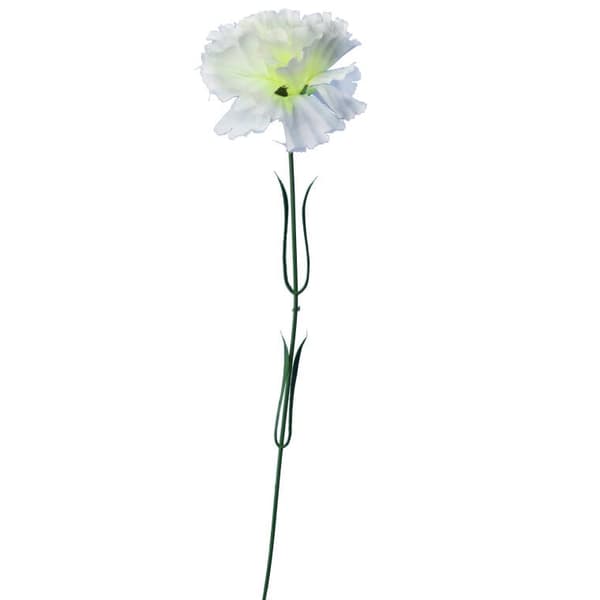 Enkelt hvid nellike 46 cm