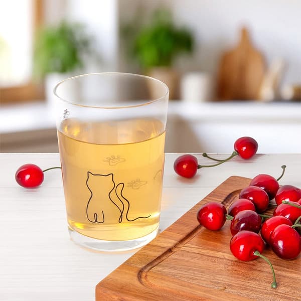 Kotek lasi 500 ml