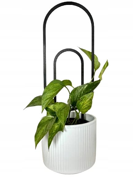 Stöd för klätterväxter Stöd för klätterblommor Pergolastege 38 cm