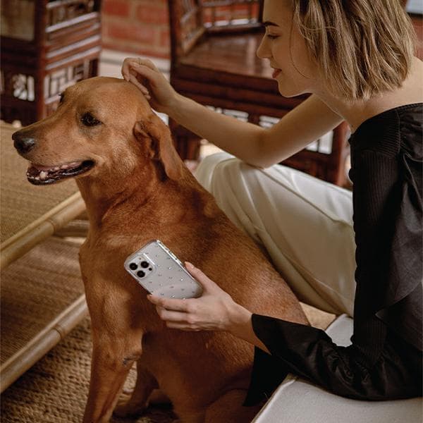 UNIQ Coehl Solitaire-etui til iPhone 14 Pro Max, klart