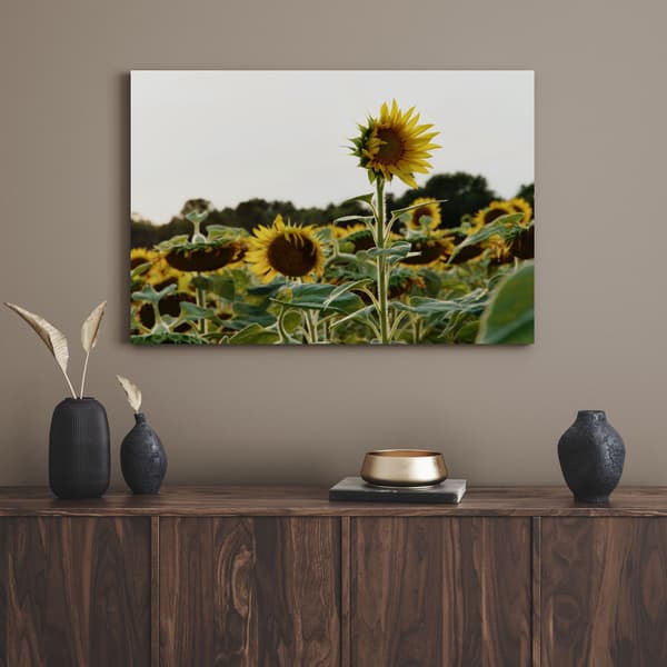Canvastaulu Botany Auringonkukkapelto 90x60
