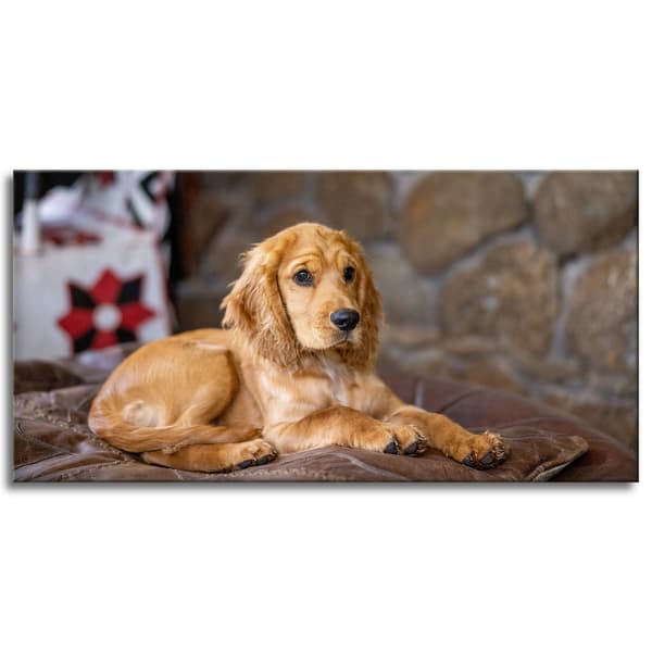Lærredstryk Dyr Cocker Dog 120x60 cm