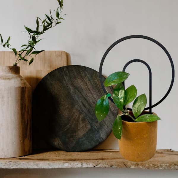 Stöd för klätterväxter Stöd för klätterblommor Pergolastege 34 cm