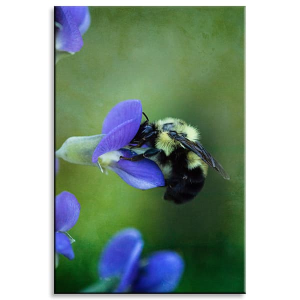 Lærredstryk Botanik Bi blomst 80x120 cm