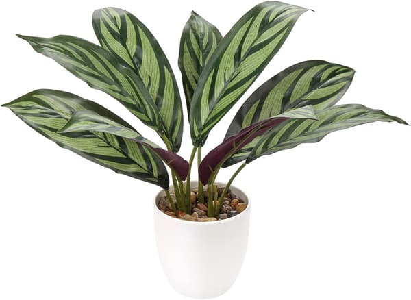 Konstgjord krukblomma CALATHEA 33cm
