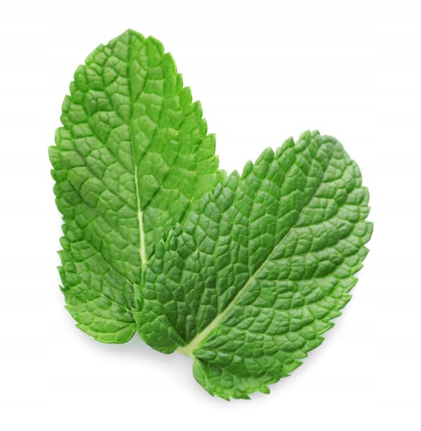 Superaromer Naturlig mintsmak 10 ml