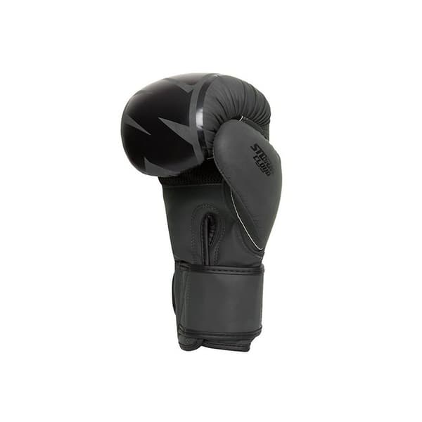 Stormcloud Bolt 2.0 Boksehandsker Sort 10OZ