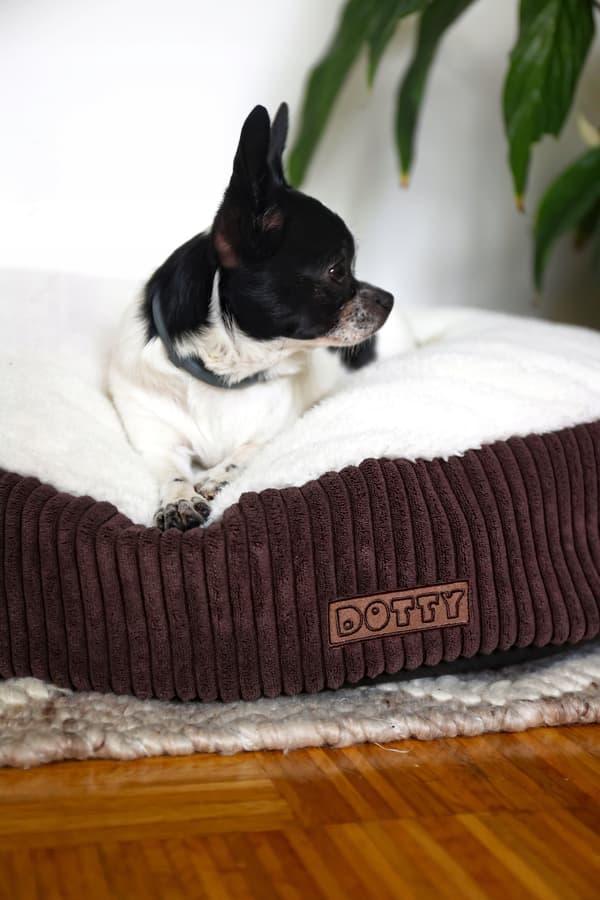 Rund pufpude til hund og kat, blød seng, DOTTY plys
