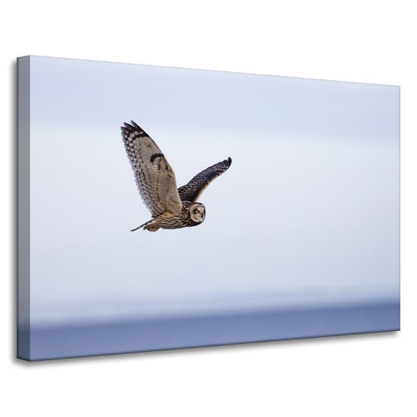 Lærredstryk Dyr Ugle i flugt 90x60 cm