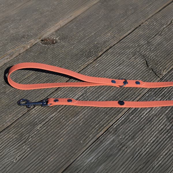Hexa city hundkoppel, bredd 19 mm, L, 2,2 m / persika