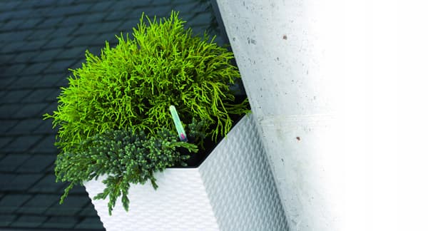 RATO DRTS325 Hög blomkruka med insats | Vit