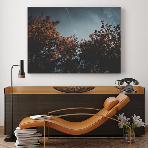 Lærredsbillede Orange trækroner 80x40