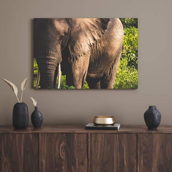 Lærredstryk Dyr Elefant Nærbillede 80x40 cm