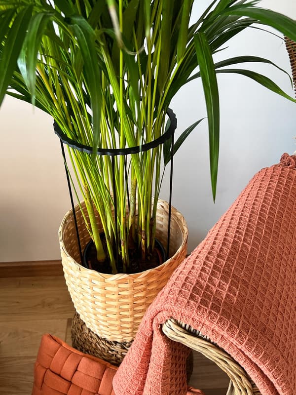 Støttering til blomsterplanter, klemme, støttering 2in1XL 60cm