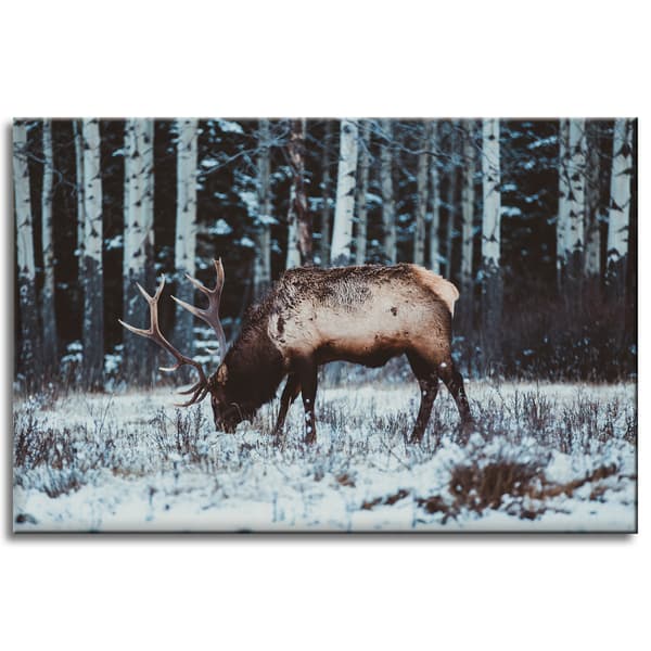 Lærredstryk Dyr Canadisk hjort 60x40