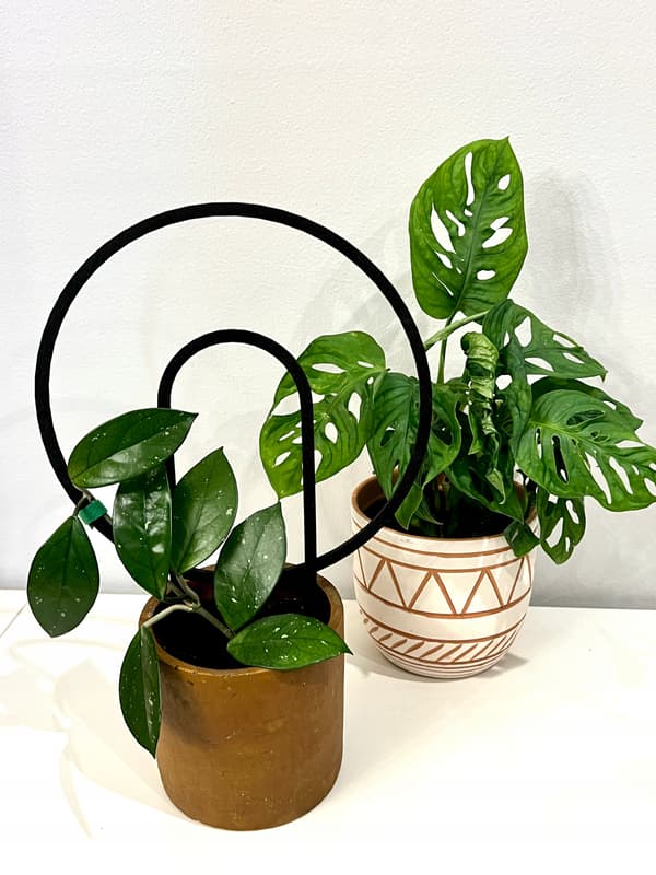 Stöd för klätterväxter Stöd för klätterblommor Pergolastege 34 cm