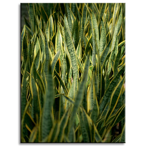 Lærredstryk Botanik Grønt Græs 30x40 cm