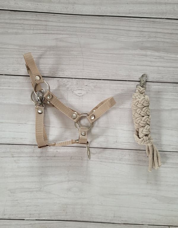 Klibbhästset: A3 Grimma + Repkoppel - Beige