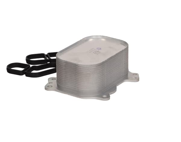 FT04621 SNABB OLJEKYLARE