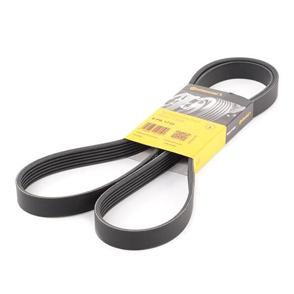 CONTITECH 6 PK 1710 moniurahihna