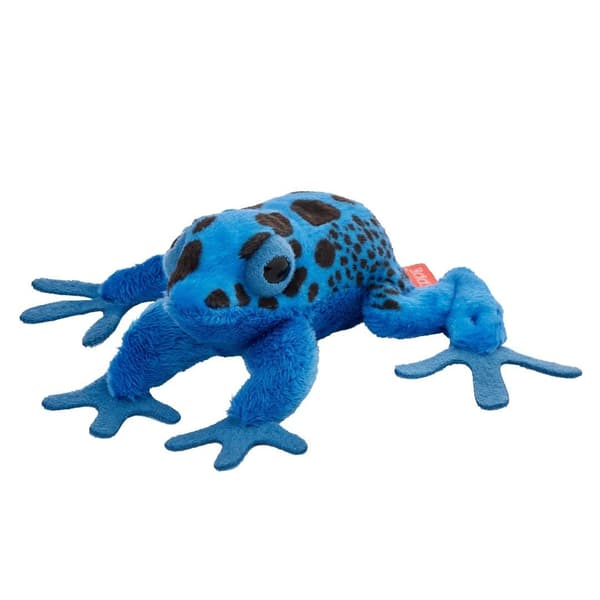 Blåmalet giftpilfrø 10 cm