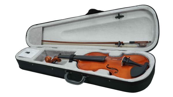 MM-VN100 SonataVibes 3/4 violin