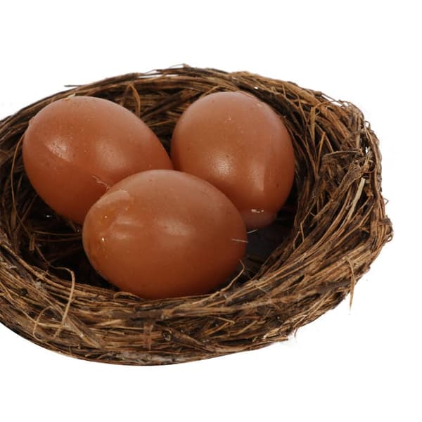 Påskedekoration Tre brune æg i en rede 6 cm
