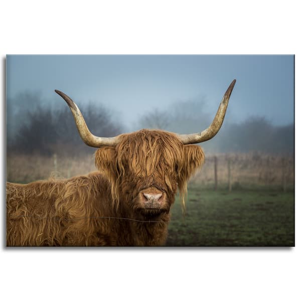 Lærredstryk Dyr Skotsk Ko 90x60 cm