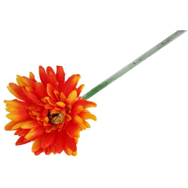 GERBERA ENKELTBLOMST ORANGE III
