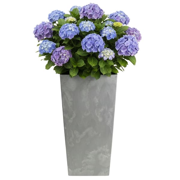 Set med stora moderna blomkrukor grå betong 3 st