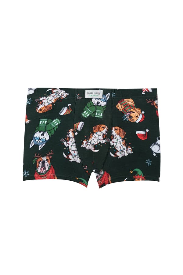 Drenge Husky boxershorts, trykte, 8 år