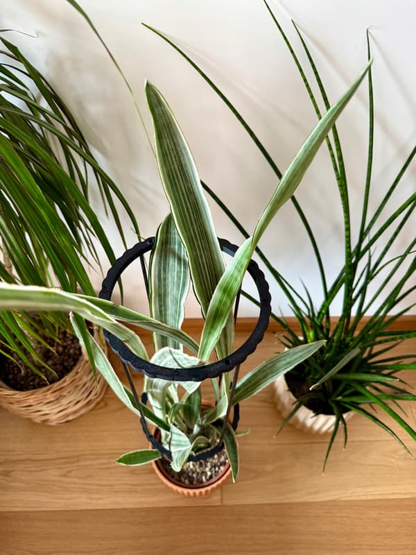 Blomväxtstödsringklämma Modulär 3-i-1 RINGstöd 66cm