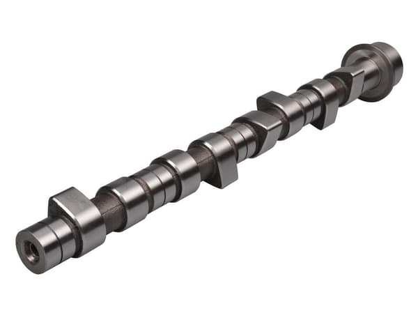 FT45023 SNABB KAMAXEL