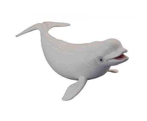 Hvidhval