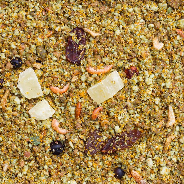 Deli Nature Birdelicious Fruit Paté 750g - foder og vitaminer til prydfugle